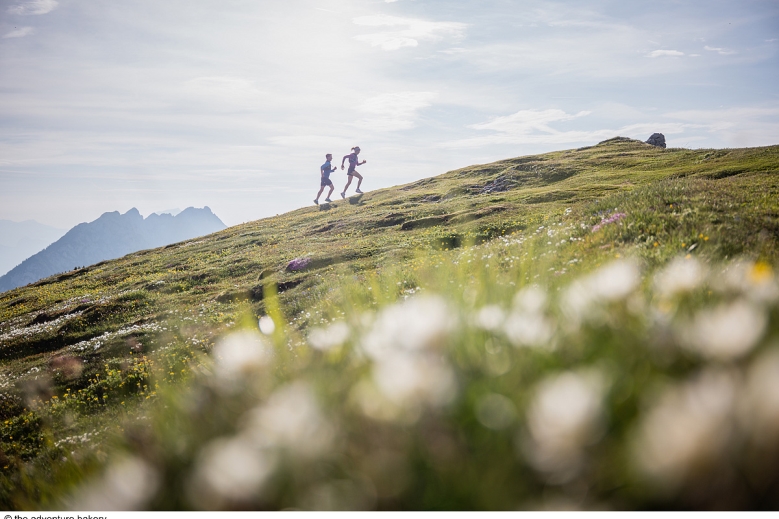 Hotel Trek Safari - King Dachstein Trail pro běžce